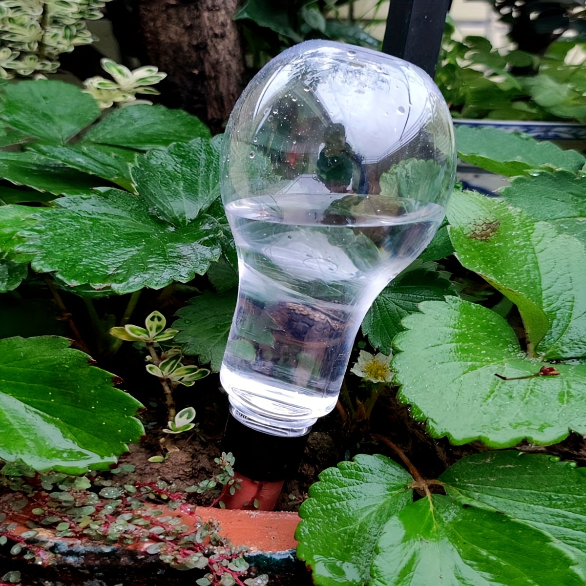 Garden Automatic Watering Tool - Smart Garden Kit avaliação e preço