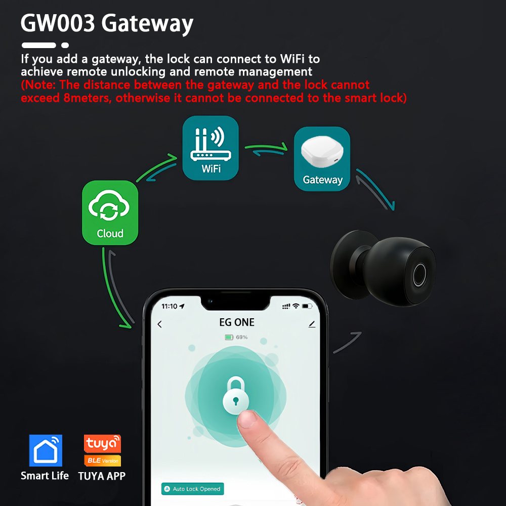 CDOK Q2 Smart Lock, Ball Lock, - Smart Garden Door Lock avaliação e preço