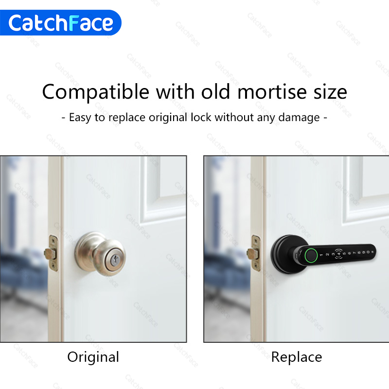 Bluetooth Biometric Fingerprin - Smart Garden Door Lock avaliação e preço