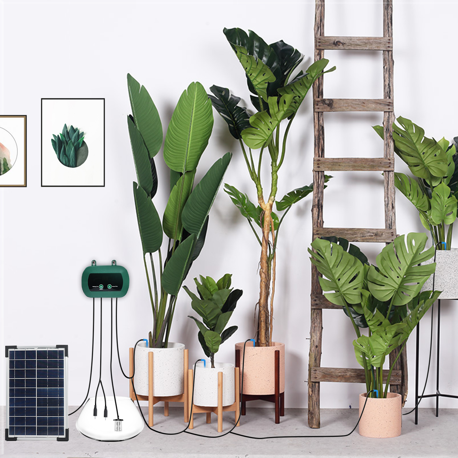 Solar Hydroponics Equipment  M - Smart Garden Kit avaliação e preço